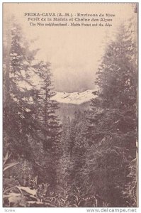 PEIRA-CAVA (A.-M.) , France , 1900-10s ; Foret de la Mairis et Chaine des Alps