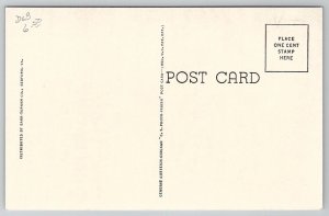 Bedford VA Bedford High School Virginia Postcard C32