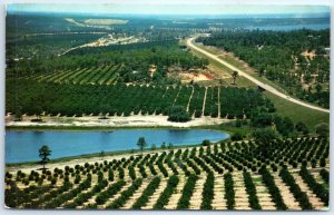Citrus groves and lakes as seen from the top of the Citrus Tower - Clermont, FL