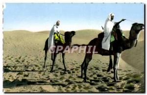 Old Postcard Scenes et Types camel through the desert Camel Camel