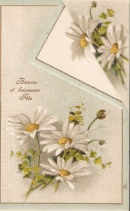 Daisy flowers Old vintage French, embossed  postcard