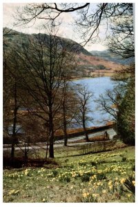 Spring Time Doras Field and Rydal Water Massachusetts Postcard