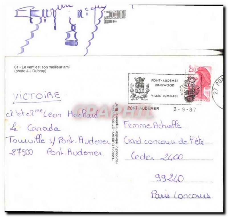 Postcard Modern Wind is his best friend