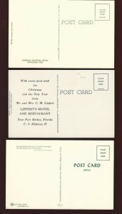 FL47  (3 Pcs.) Royal Poincianna -  Lipperts Motel & Restaurant U.S. Hwy. 19