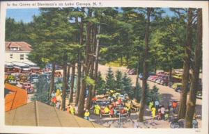 Lake Caroga NY Hotel Postcard