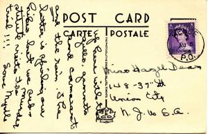 Canada - Quebec, Perce. Bonaventure Island Birds