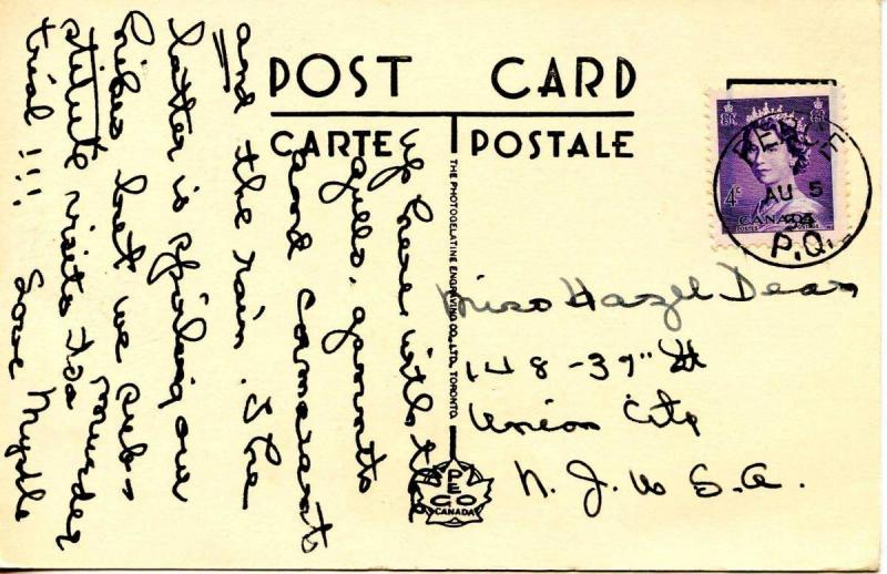 Canada - Quebec, Perce. Bonaventure Island Birds