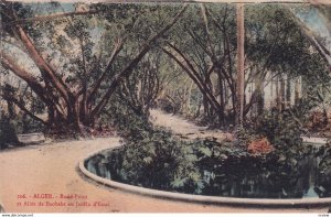 Baobab Alley Roundabout At The Trial Garden,Algeria,1900-10s