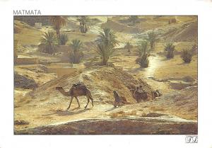 B73363 matmata chamel camel Tunisia