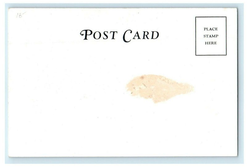 c1920's The Pines Cottage Cotuit Cape Cod Massachusetts Unposted Postcard