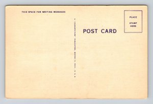 Postcard Miniature Golf Course on The Boardwalk by Moonlight Wildwood New Jersey