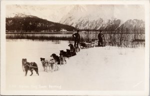 Alaska Dog Team Resting AK Dog Sled Schallerer RPPC Postcard H9