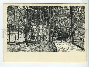 454110 USSR 1978 year landscapes Moscow region artist Bronstein road to the pond