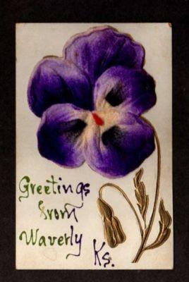 KS Greetings from WAVERLY KANSAS Postcard Velvet ? PC