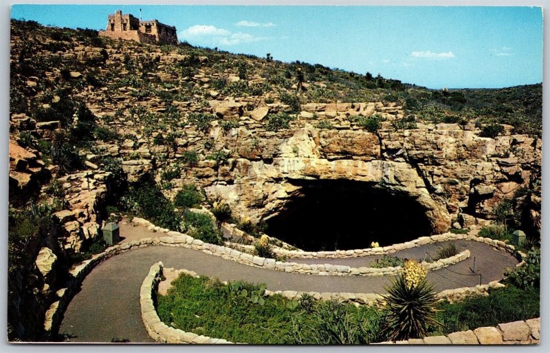 Vtg New Mexico NM Natural Entrance Carlsbad Caverns National Park View Postcard