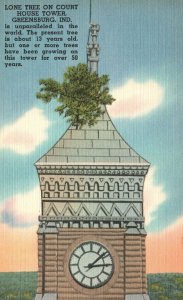 Vintage Postcard 1930's Lone Tree on Court House Tower Greensburg Indiana IND