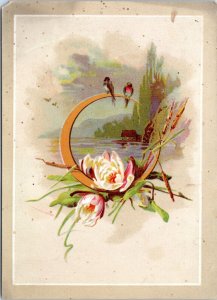 Trade Card - Woolson Spice Birds with blooming lilly pad