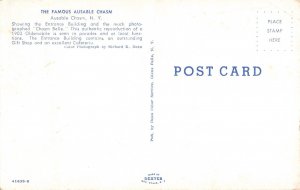 Ausable Chasm Women Sitting in Antique Car Postcard 2R5-418 