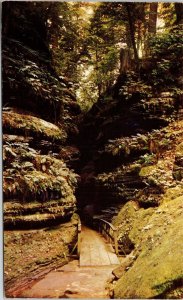 Cold Water Canyon Wisconsin Dells Rocky Glen Upper Dells Boat Trip Postcard VTG  