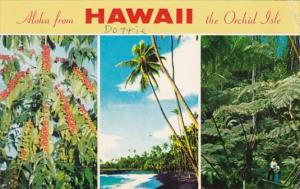 Hawaii Aloha From The Orchid Isle 1976