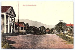 Acre Catskill Mountains New York NY Home Road & Mountain Attraction Postcard