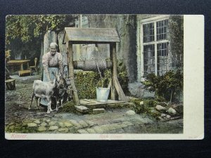 Staffordshire KINVER Rock House shows LADY & GOATS BY WATER WELL c1905 Postcard