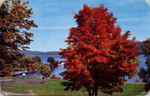 New York Lake George Silver Bay Association 1950