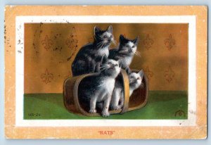 West Duluth Minnesota MN Postcard Cute Cat Kittens Finding Rats Embossed 1912