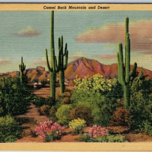 1934 Near Phoenix, AZ Camel Back Mountain Valley Sun Linen Lollesgard Teich A211