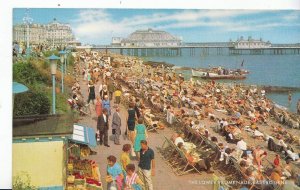 Sussex Postcard - The Lower Promenade - Eastbourne      XX134