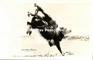 canada, CALGARY Stampede, Steer Wrestling (1940s) Rosettis RPPC (2)