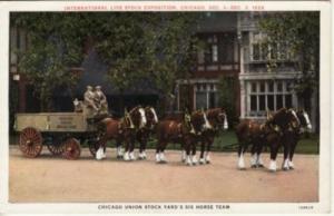 IL   CHICAGO   UNION STOCK YARD'S 6-HORSE TEAM / WAGON  L...