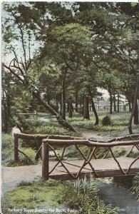 Surrey Postcard - Norbury Topse - The Rustic Bridge  2663