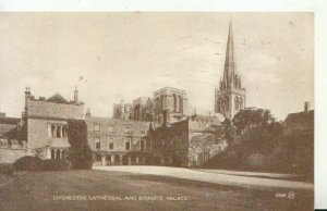 Sussex Postcard - Chichester Cathedral and Bishop's Palace - Ref TZ7302