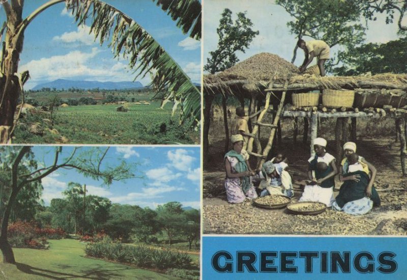 Malawi Tribe African Greetings Postcard