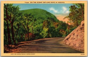 Virginia VA, On The Scenic Skyline Drive, Driveway, Mountain, Vintage Postcard