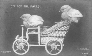 C-1910 Chicks Studios auto Rotograph prop Comic Humor undivided Postcard 21-7175