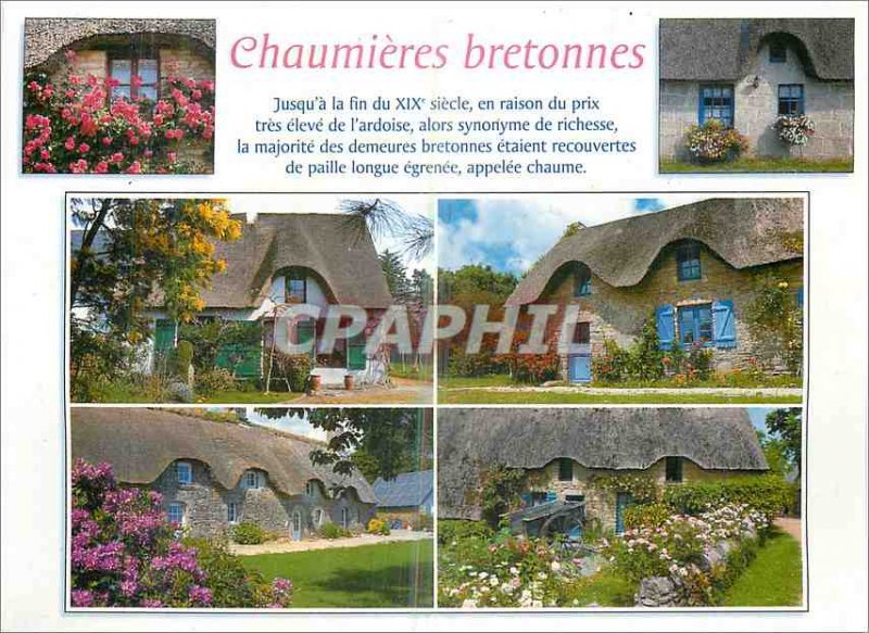 Postcard Modern Chaumieres Breton