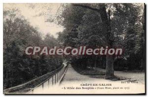 Old Postcard Crepy en Valois Allee of Sighs