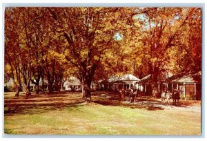 c1950 Homestead Hotel Restaurant Cottages Carriage Hot Springs Virginia Postcard