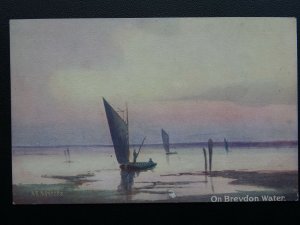 Norfolk ON BREVDON WATER Artist A.E.Sanders c1905 Postcard by C.W. Faulkner 514E