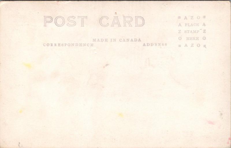 Rock Garden Hamilton Ontario ON Ont. Colourful Unused Vintage RPPC Postcard D42