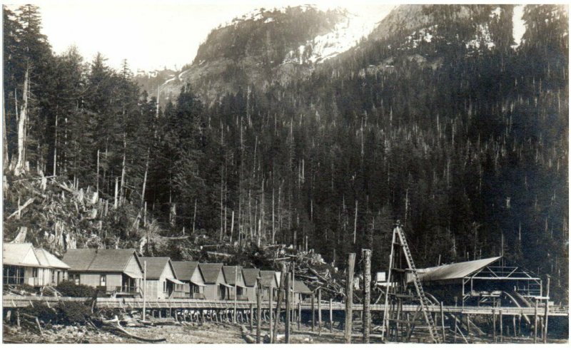 Swansons Bay BC Canada sulfite pulp mill town being built RPPC early c1909