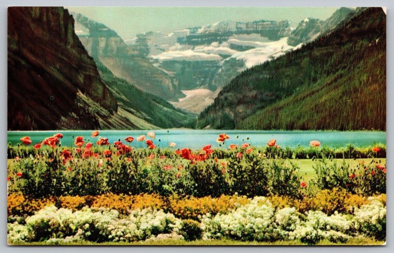 Lake Louise Lake Fishes Emerald Lake Postcard 