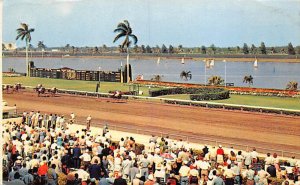 An Easy Win Gulfstream Park Race Course Hallandale FL 