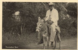 curacao, W.I., Koenoekoe Boer, Kunuku Peasant on Donkey (1940s) Postcard