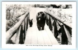 RPPC KICKING HORSE TEAROOM, B.C. Canada ~ BEAR & CUB ca 1940s  Postcard