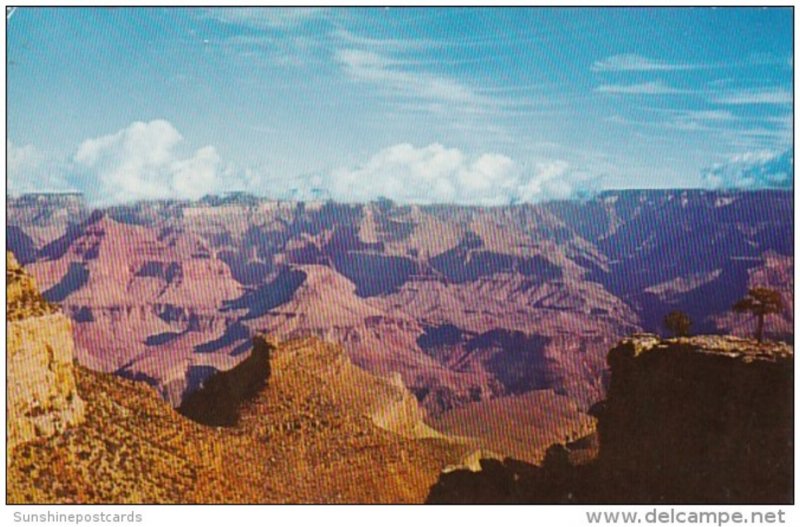 Arizona Panorama Grand Canyon National Park Fred Harvey