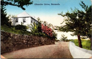 Oleander Drive Bermunda Postcard UNP Unused Yankee VTG Vintage 