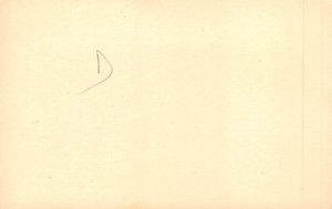 Non PC Backing Nude View Images